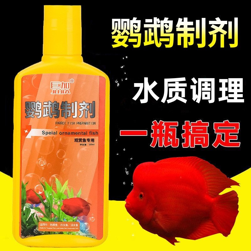 血鹦鹉鱼专用制剂鹦鹉鱼烂鳞白点白毛水霉黑斑蒙眼病发财鱼观赏鱼