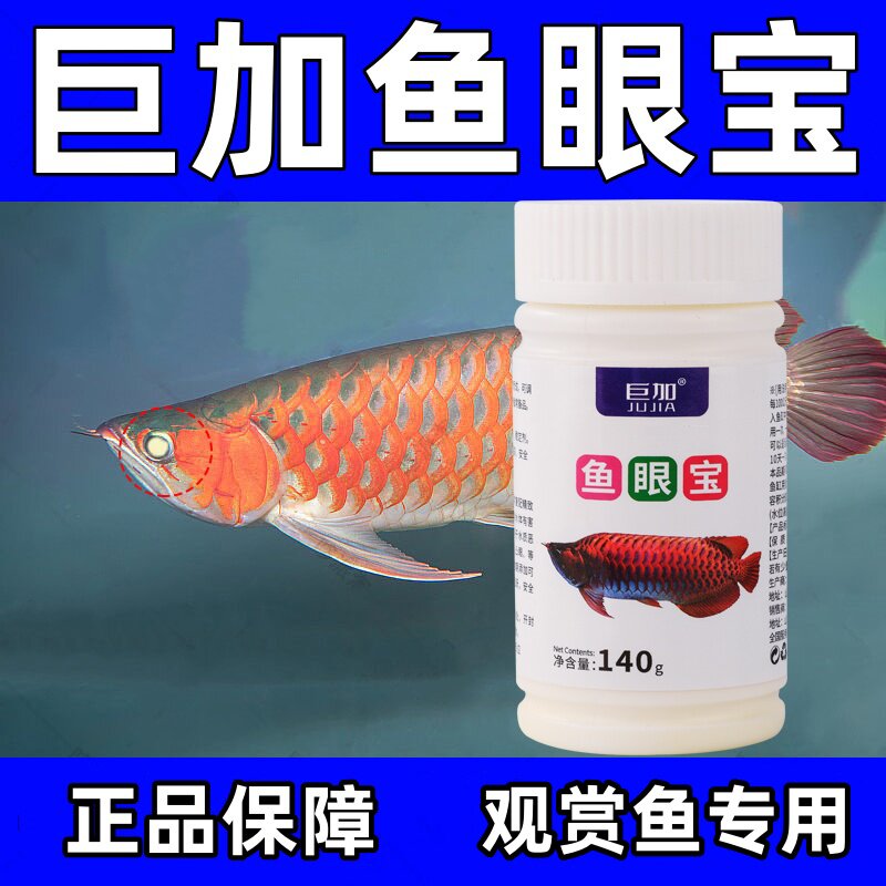观赏鱼蒙眼鱼眼宝龙鱼蒙眼内障白浊凸眼病鹦鹉鱼龙鱼锦鲤金鱼鱼眼