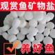 水族观赏鱼专用海盐鱼用杀菌盐鱼缸黄粉蓝粉矿物盐热带鱼缸消毒盐