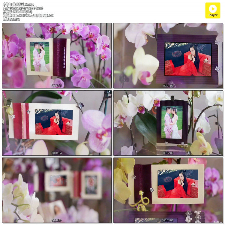 3D效果个人写真相册展示婚礼相片MV视频开场温馨模板花中景秀