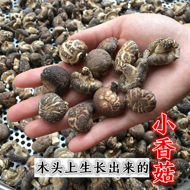 小香菇秦岭野生纯椴木香菇干货含小花菇嫩仔农家自产厚香茹500g装
