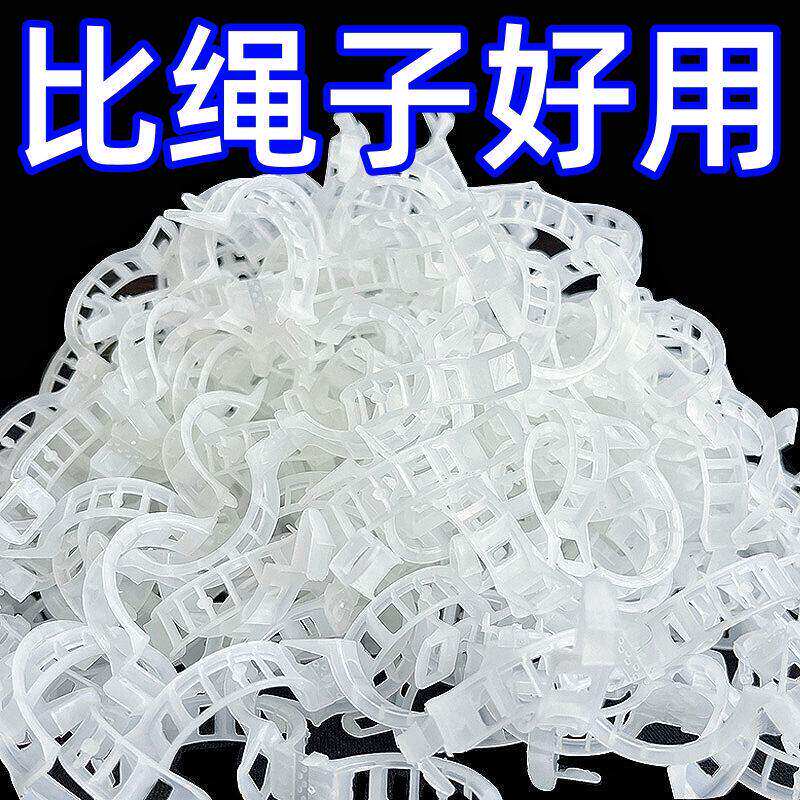 绿植果树植物固定夹卡扣图片