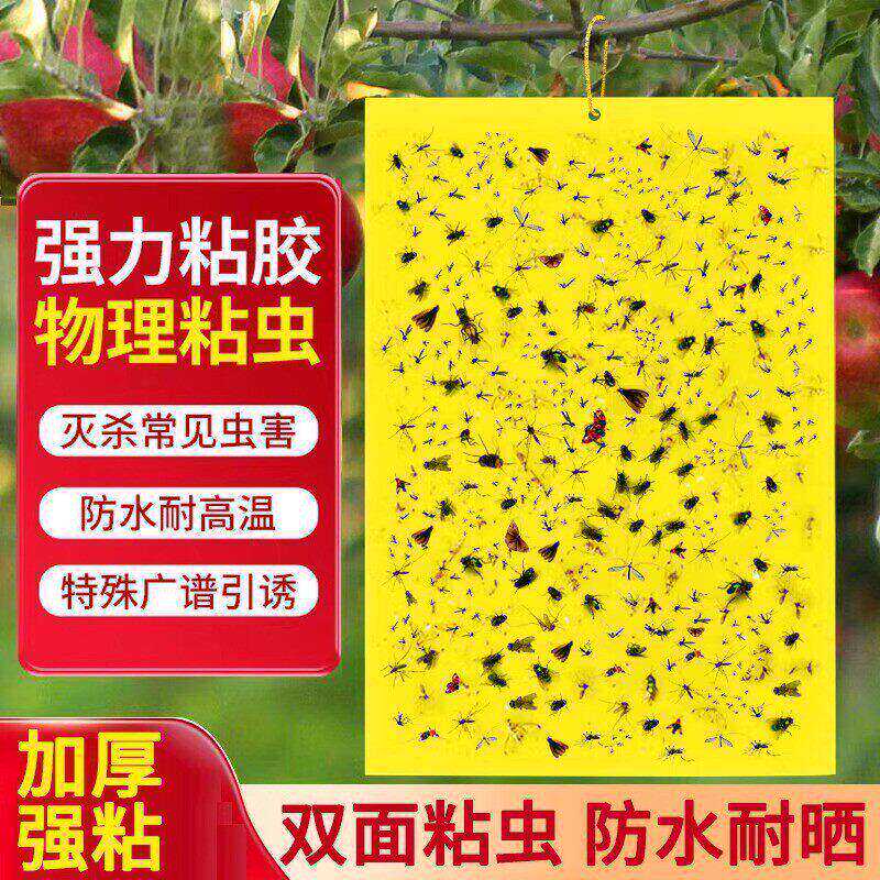 黄板双面粘虫板诱捕器