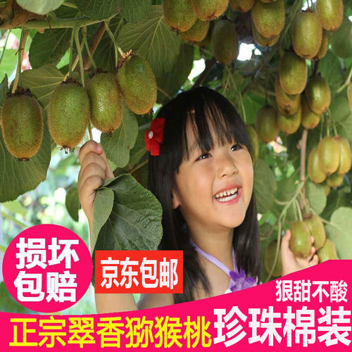 大果翠香猕猴桃包邮新鲜周至水果