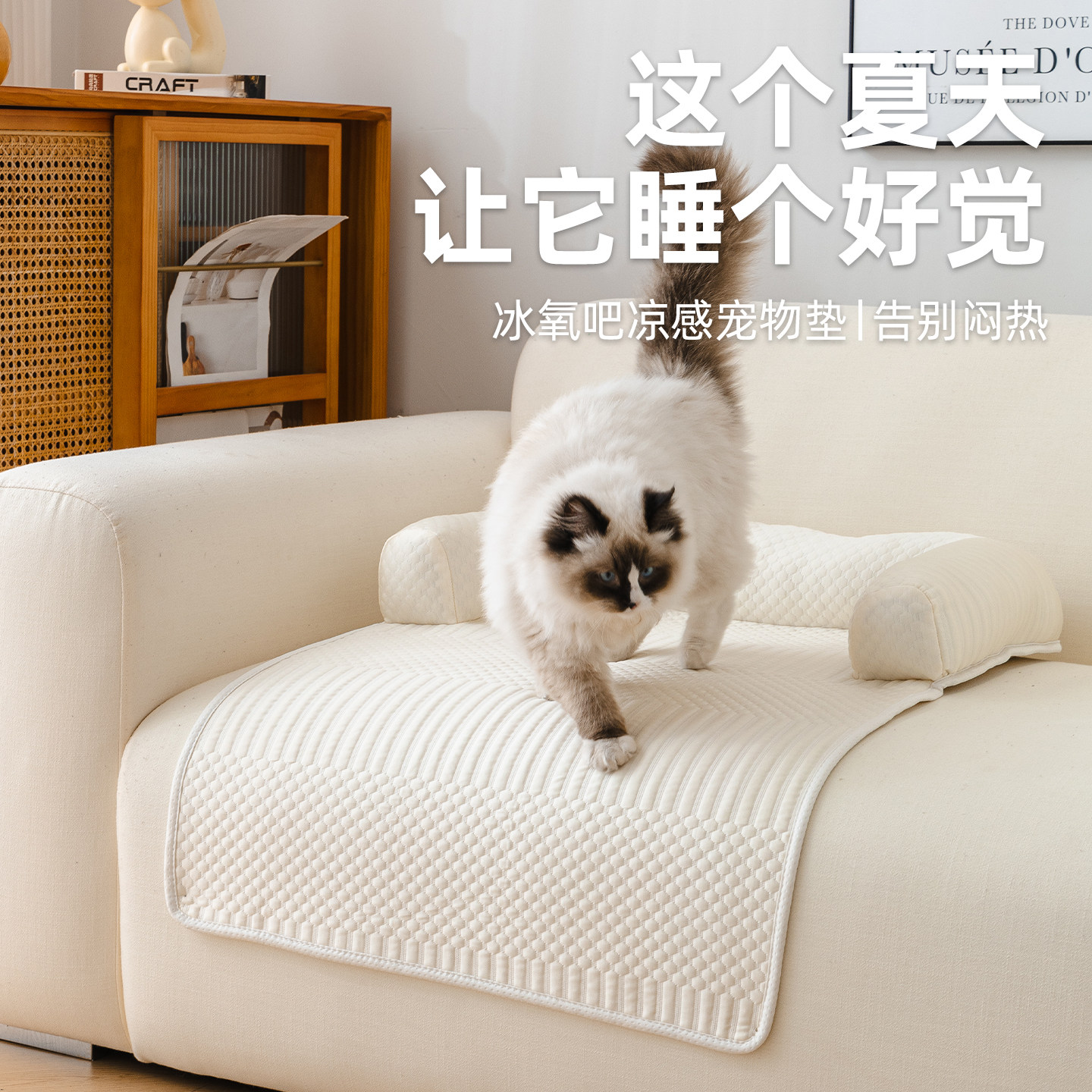 宠物沙发垫夏季专用猫咪窝垫凉感凉豆豆睡垫舒适靠枕猫狗窝垫子