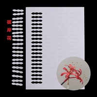 Цветок с другой стороны