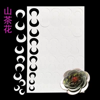 № 23 горная камелия