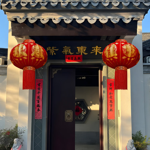 灯笼新款2026新年大红挂饰
