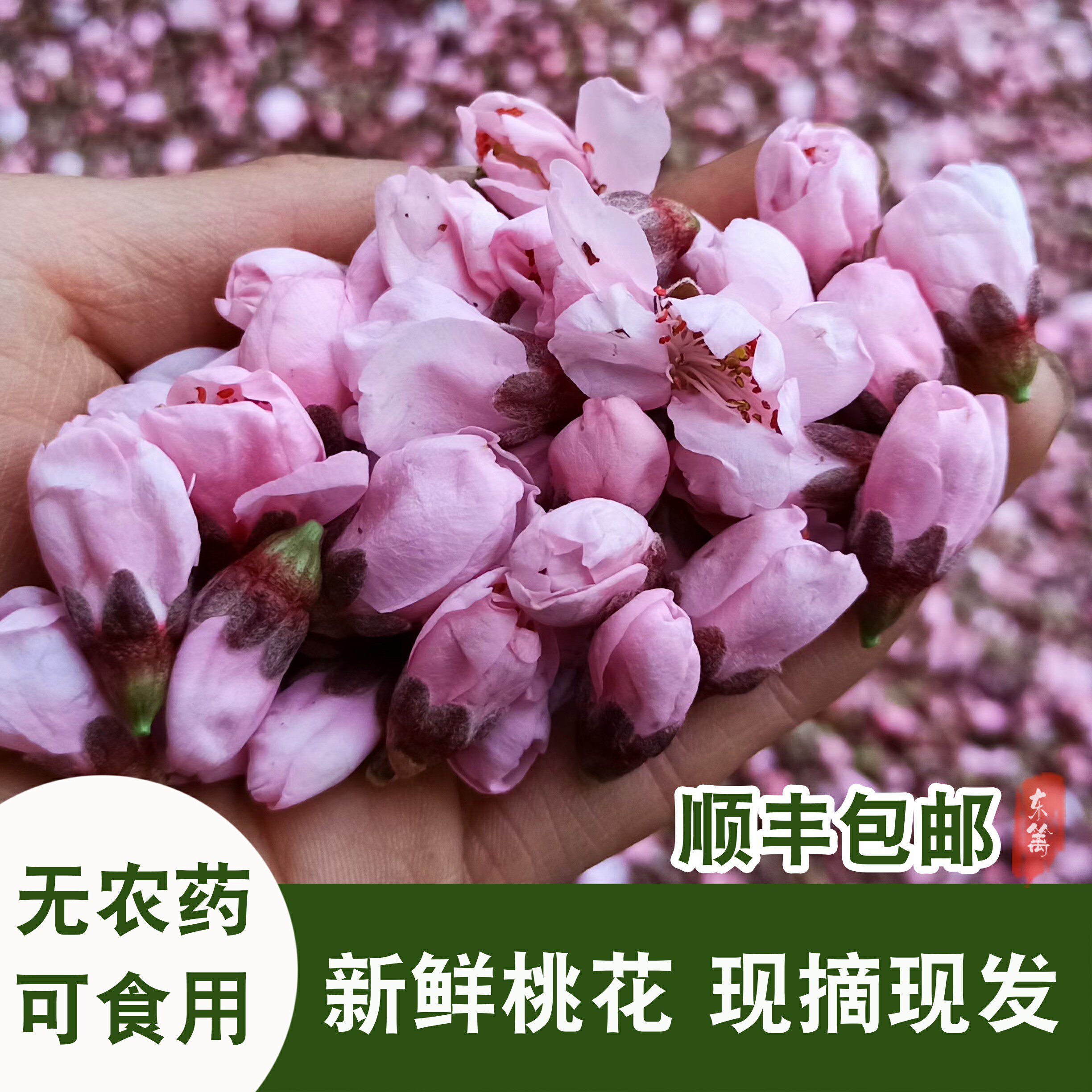 2026新鲜桃花食用花苞花朵酿桃花酒泡酒现摘桃花茶干桃花便通秘茶