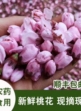 新鲜桃花花苞泡酒酿酒食用花茶