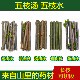 中药材五枝汤新鲜五枝水原料五枝汤泡澡泡脚柳枝桃枝槐枝桑枝桂枝