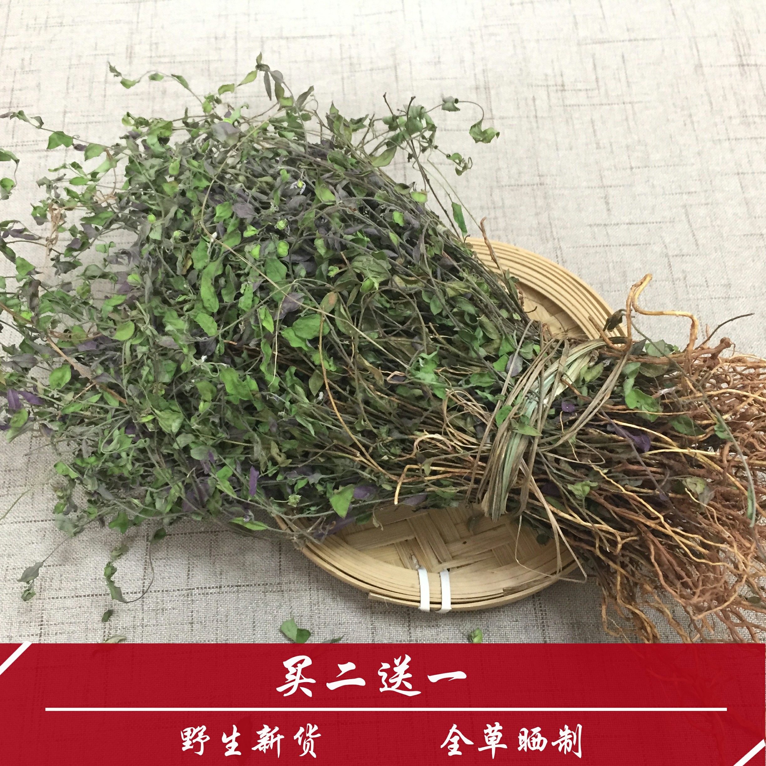 新品来马回瓜子金辰砂草野生晒干农家中药材50克买二送一两件包