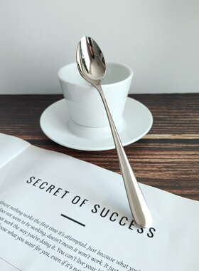 匠心工艺VE经典18-10不锈钢长柄勺子镜面光咖啡搅拌勺甜品布丁勺