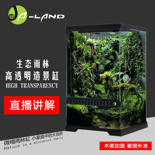 生态雨林缸 水陆缸 热带雨林造景缸超白蜥蜴爬虫玻璃爬虫箱可定制