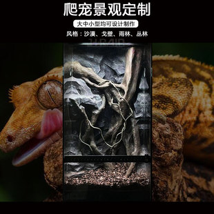 爬缸造景爬宠景观定制水泥塑形热带雨林爬宠造景蜥蜴树蛙乌龟造景