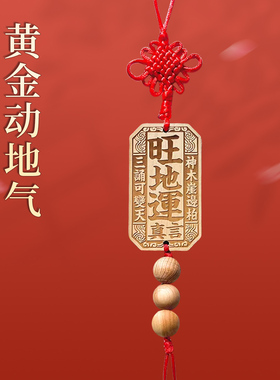 李居明2025蛇年吉祥物黄金动地气挂件客厅办公室九运旺地运挂饰