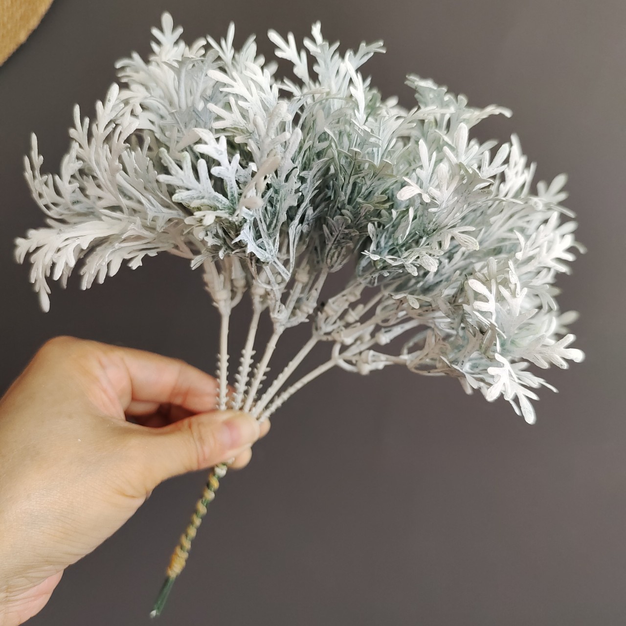 仿真植物银叶菊把束草 北欧家居样板间圣诞花环胸花手捧花配材叶