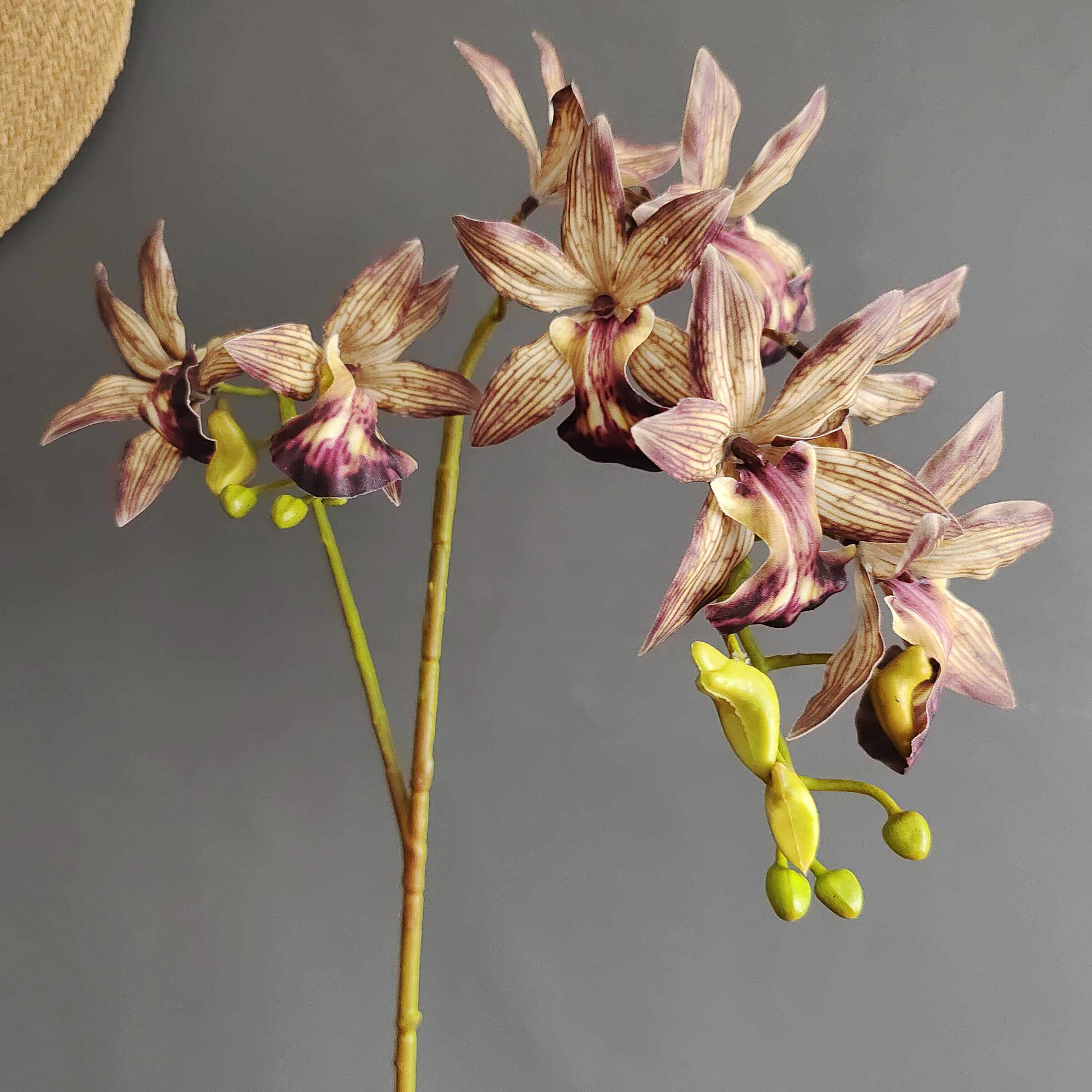 仿真花兰花蝴蝶兰孔雀兰假花家居客厅餐桌装饰品摆件插花绢花干花