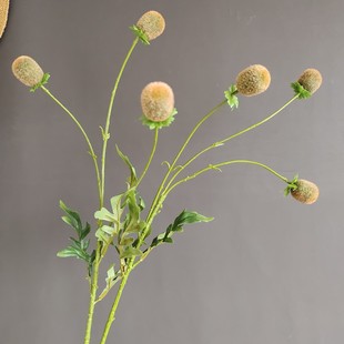 仿真果枝3头金钱果蒲棒 北欧家居样板间婚庆圣诞插花配件
