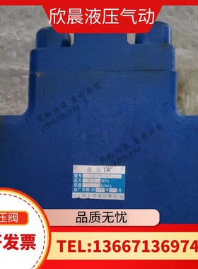 液压阀 液控单向阀A1Y-H50F YF-F50H YFDH-F50H 手动阀 电磁溢流