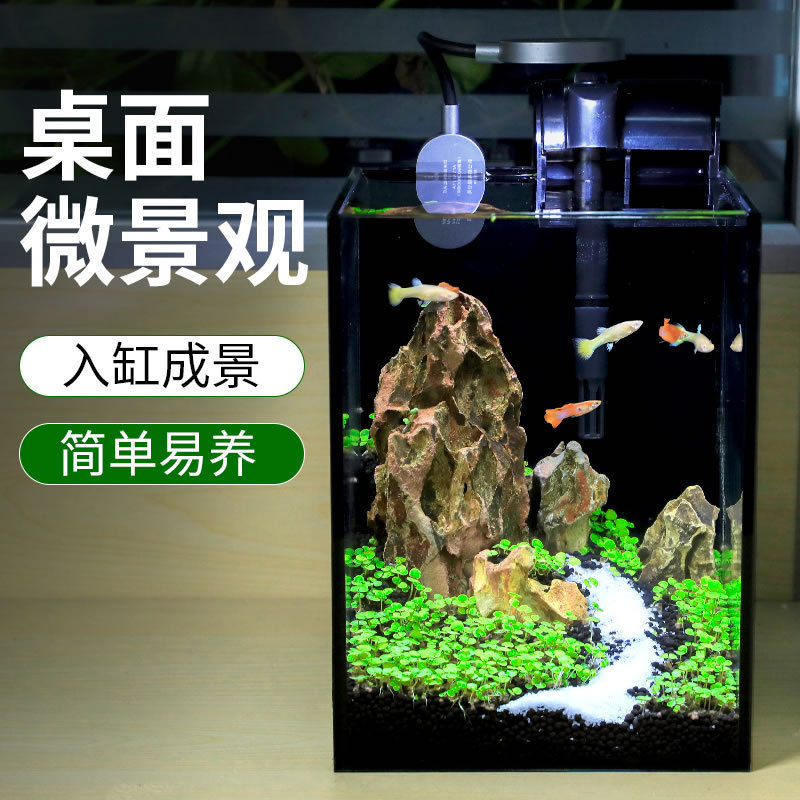 森森超白玻璃微景观 公桌客厅家用 全套造景小型创意水景桌面鱼缸