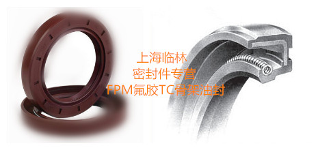 原装进口台湾SOGNAK氟胶FPM耐高温化学性腐蚀耐磨骨架油封20*30*7