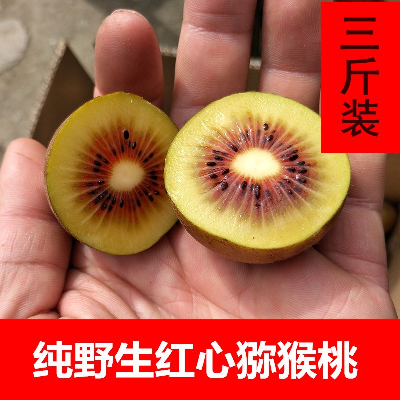 纯野生当季水果超甜猕猴桃新鲜