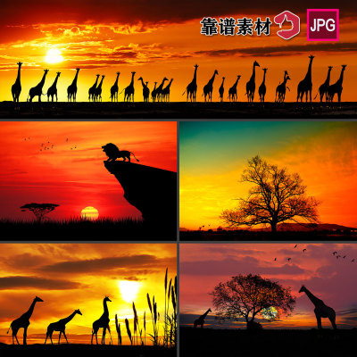 非洲大草原热带原始森林长颈鹿大树动物剪影风景插画图片设计素材