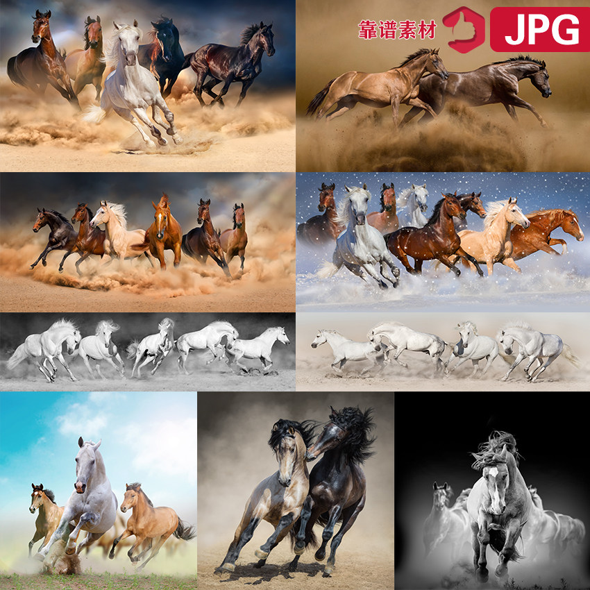奔腾骏马野马八骏图群马奔腾装饰画图片设计素材