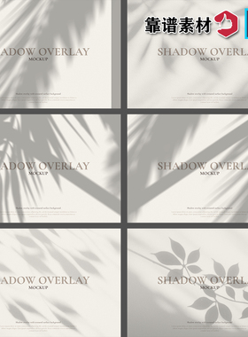 树叶叶子光影感阴影投影灰色高清背景图片设计遮光PSD素材