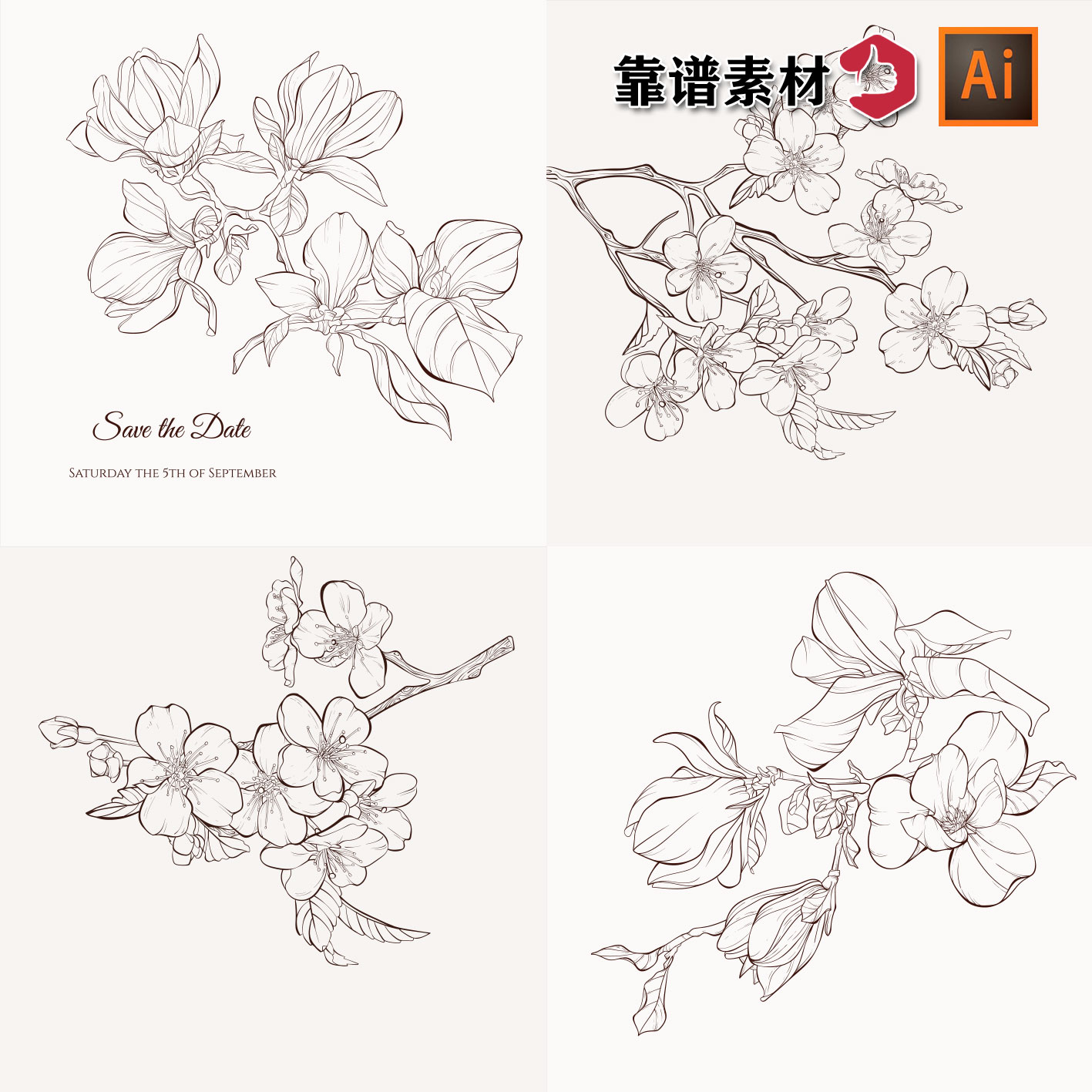 手绘线描白描素描线条玉兰花梅花中国风鲜花插画AI矢量设计素材