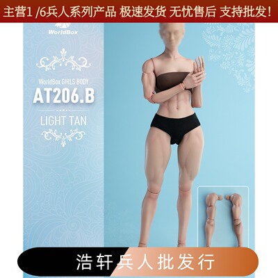 1/6女素体肌肉版AT2061/6