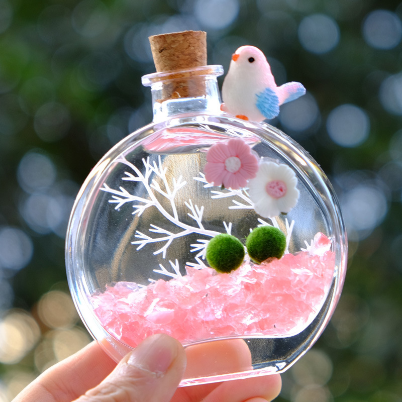 海藻球玻璃生态瓶微景观
