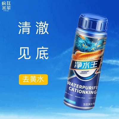 去黄水净水王疯狂水草