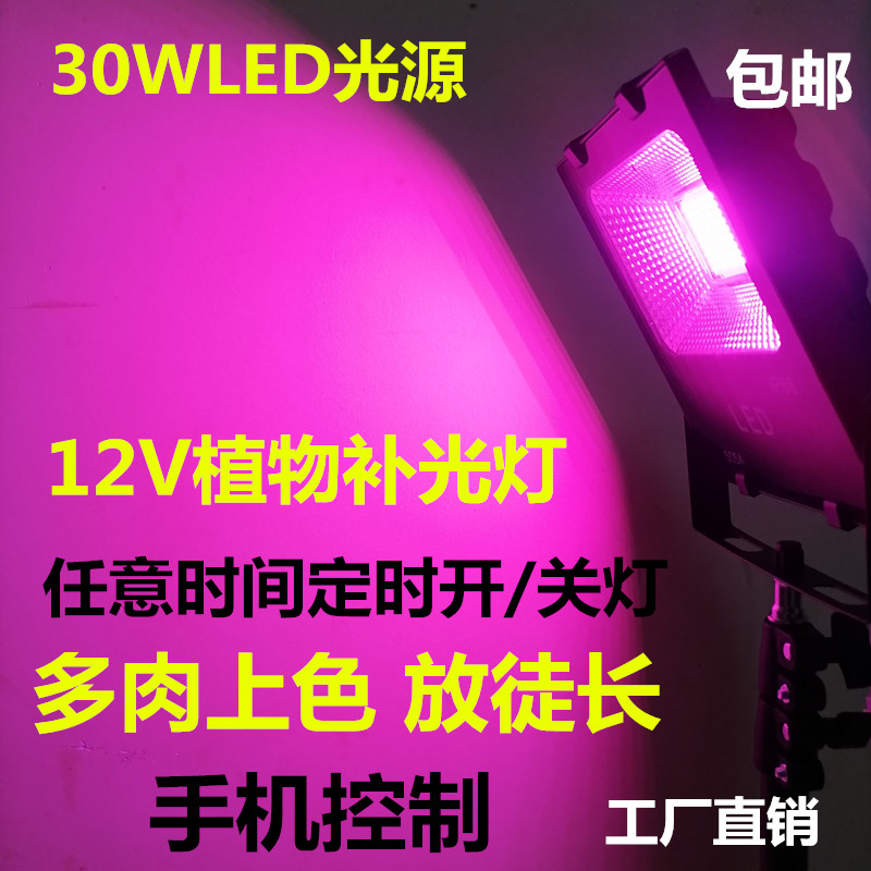 12V智能wifi定时植物灯全光谱多肉补光灯定时LED蔬菜花卉生长灯
