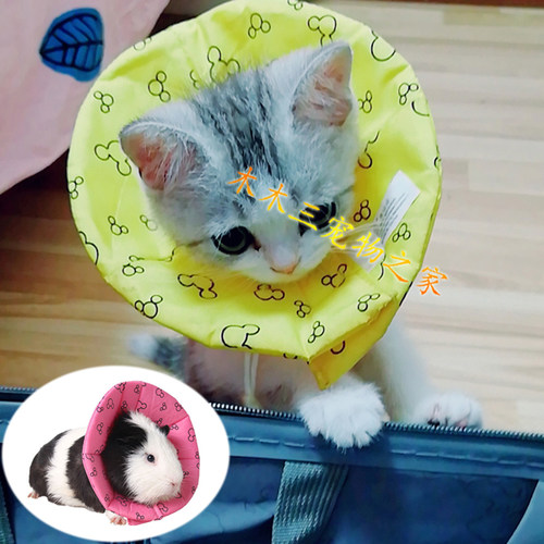 小宠幼猫荷兰猪鼠类伊丽莎白圈软