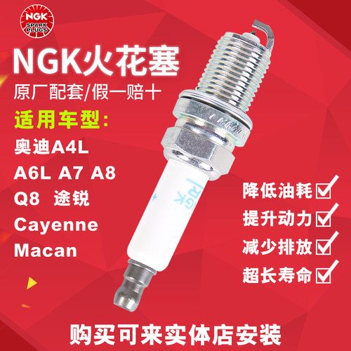 NGK双铂金火花塞 94460 适配奥迪A4/A6/A7/A8/S4/帕萨特/保时捷