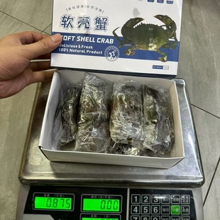 活冻软壳蟹6头约800克 冷冻青蟹酥炸香煎椒盐寿司手卷软壳蟹商用