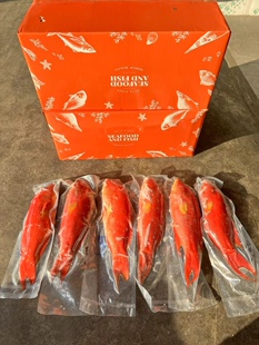 海鲜鱼海捕燕尾斑红星斑新鲜冰鲜速冻斑鱼东星斑1-1.1斤一条