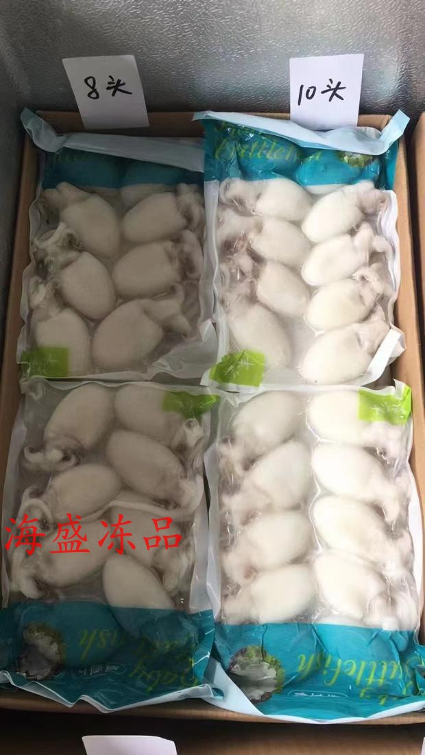 板冻墨鱼仔冷冻水产小墨鱼仔小乌贼目鱼仔整箱12包江浙沪皖包邮