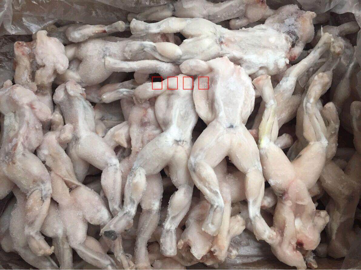 冻牛蛙三去整牛蛙去头皮内脏带冰10斤 净重6斤左右 江浙沪包邮,水产肉类/新鲜蔬果/熟食,其它,淘宝优惠券,粉丝福利购,淘宝优惠卷