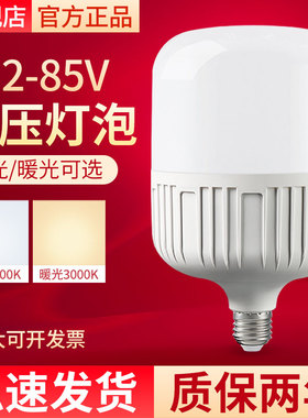 12vled低压灯摆摊灯夜市灯电动车电瓶灯24V36V48V60V90V直流球泡