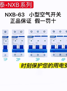 正泰NXB 断路器63a小型2p空开1p空气开关32a三相3p电闸4p家用100a