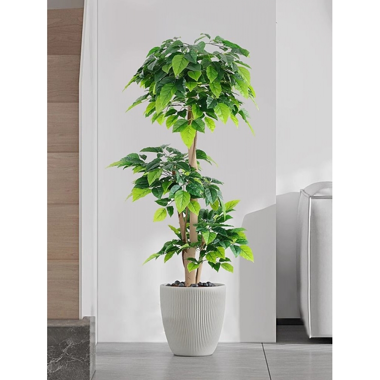 仿真绿植幸福树室内客厅发财树摆