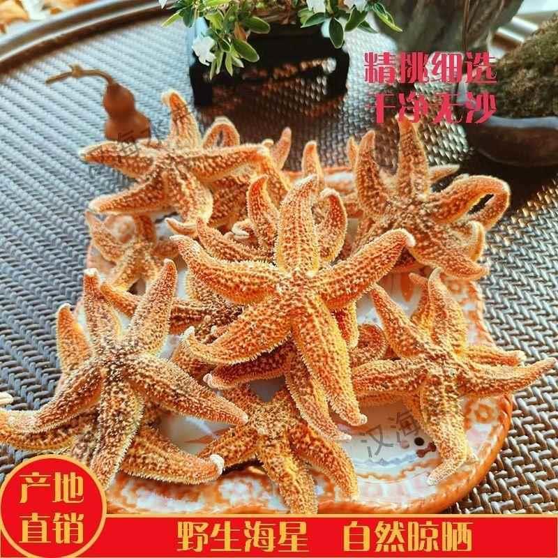 野生小海星泡酒海星海五星海星干货滋补煲汤泡酒料新鲜纯天然工艺