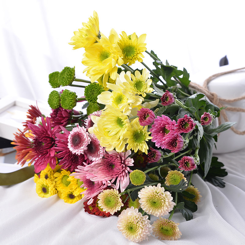 小雏菊云南昆明基地直批婚礼花鲜花家用插花办公同城速递鲜切花|msdalam kategori penghantaran bunga/bunga simulasi/tumbuhan berkebun, penghantaran bunga (bandar) - dari Buy2taobao.com untuk memberikan perkhidmatan ejen Taobao profesional membeli