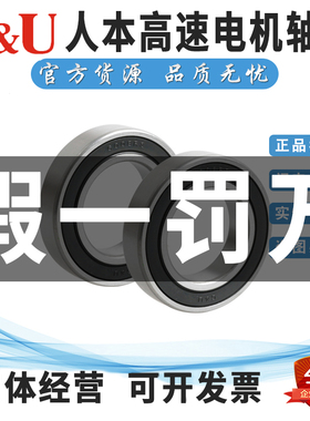 人本高速电机轴承6007 6008 6009 6010 6011 6012 6013 6014RZ RS