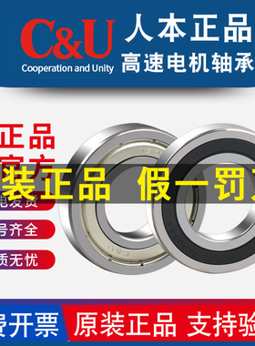 人本轴承16001 16002 16003 16004 16005 16006 16007 16008Z RS