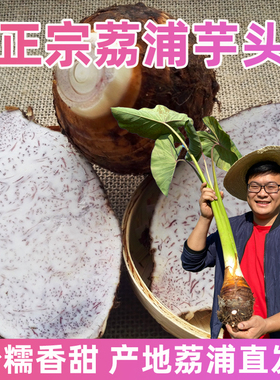 正宗广西荔浦芋头 新鲜槟榔香芋 粉糯大芋头 紫藤芋农家蔬菜