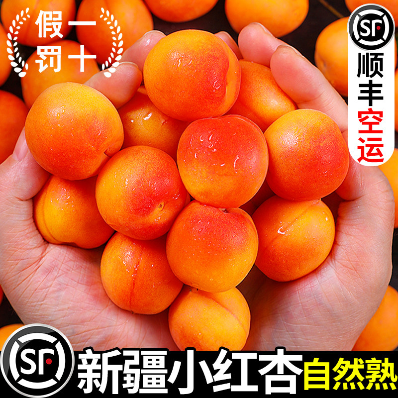 新疆小红杏新鲜轮台杏子甜杏库车红杏子新疆特产水果当季整箱顺丰